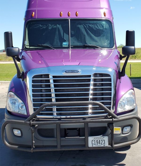 2016 FREIGHTLINER CASCADIA 125 - Image 3