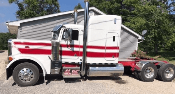 1994 PETERBILT 379 - Image 2