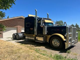 2014 PETERBILT 389