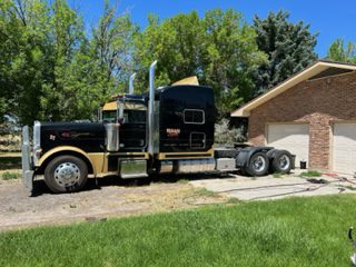 2014 PETERBILT 389 - Image 3