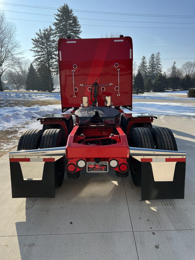 2019 Peterbilt 389 - Image 12