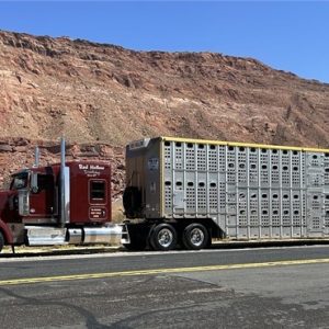 2021 KENWORTH W900