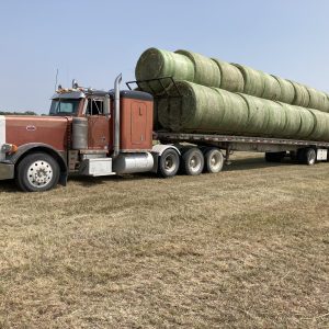 1989 Peterbilt 379