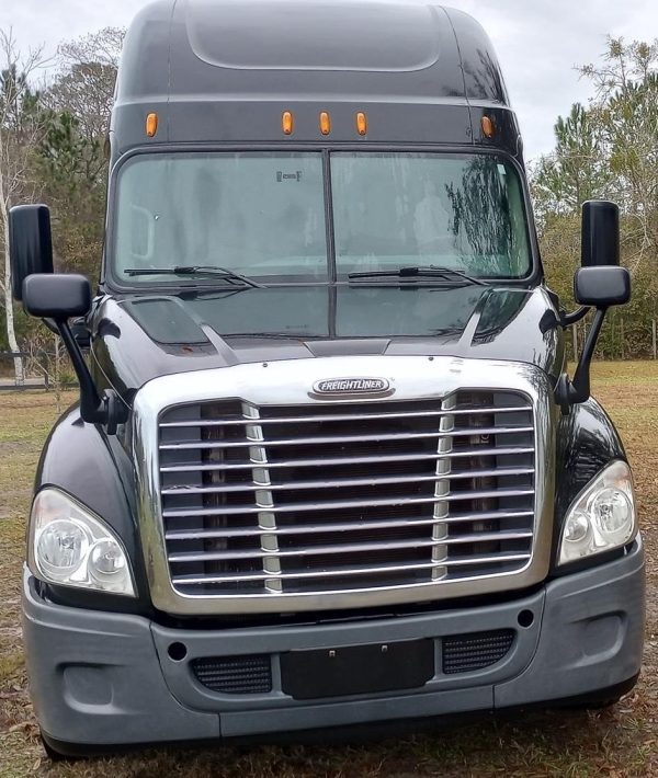 2014 FREIGHTLINER CASCADIA 113 EVOLUTION - Image 3