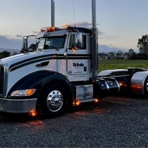 2014 PETERBILT 386