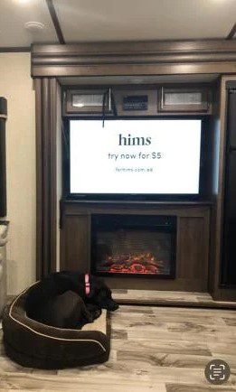 2019 KEYSTONE RV CO COUGAR HALF-TON 32RLI - Image 4