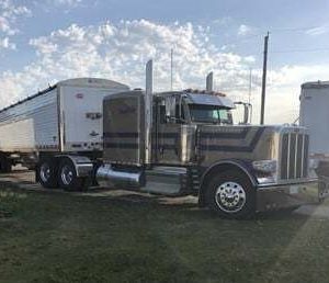2019 PETERBILT 389