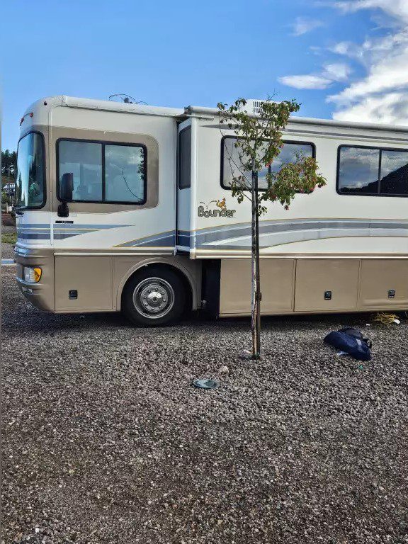 1999 FLEETWOOD BOUNDER - Image 15
